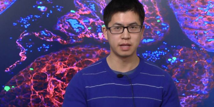 "Beyond the Red" - MIT Koch Institute Image Award Winner