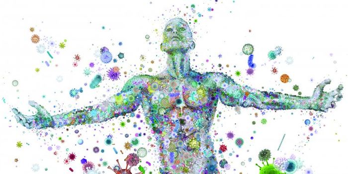 In a (Microbial) Fog