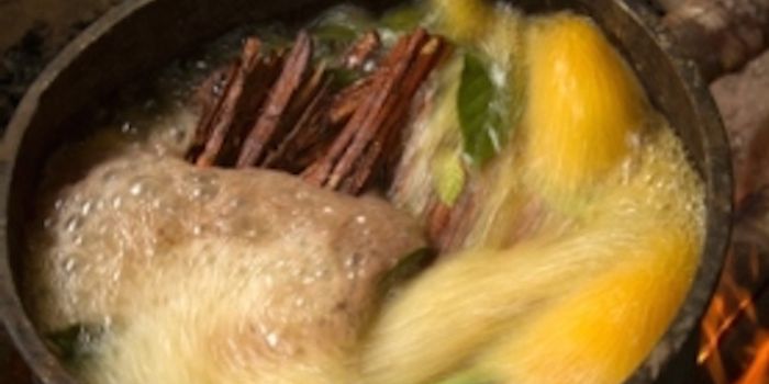 Ayahuasca Psychedelic Tested for Depression