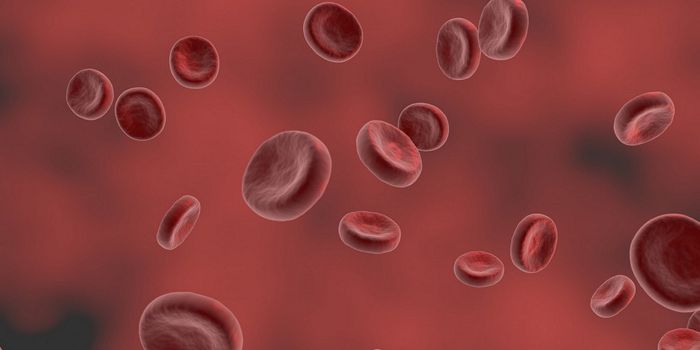 Investigating New Anti-Blood Clotting Treatments
