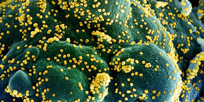 SARS-CoV-2 Aerosols May Travel up to 13 Feet