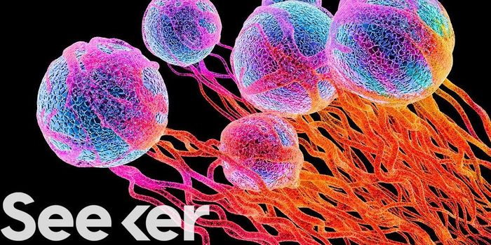 Using bacteria in the battle against cancer