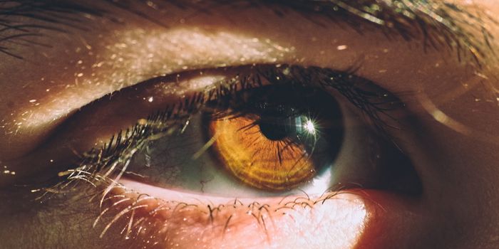 Study Shows Pupil Size Is Not a Reliable Indicator of Acute Cannabis Exposure​