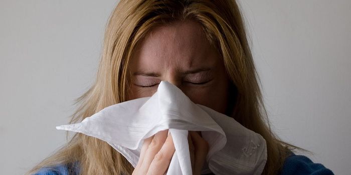 Could Mucus-Based Drugs Replace Antibiotics?