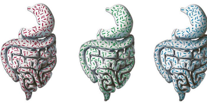 Modeling the Microbiome