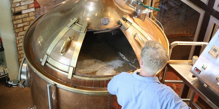 Building a Better Beer Through Microbiology