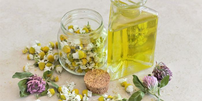 Chamomile oil in nanogel form for pain relief