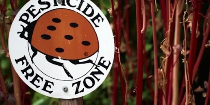 Plant Microbiome Promises Higher Crop Yield