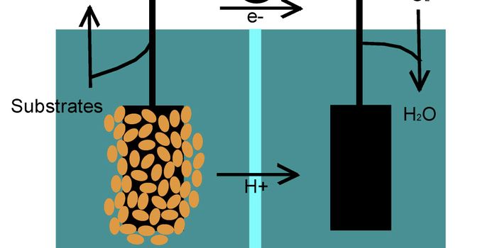 Turning methane into electricity with bacteria