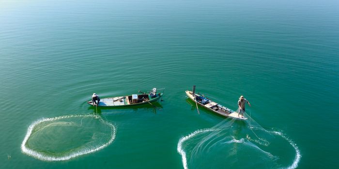 Increasing Production of Aquatic "Blue" Foods Promotes Sustainable Access To Healthier Diets