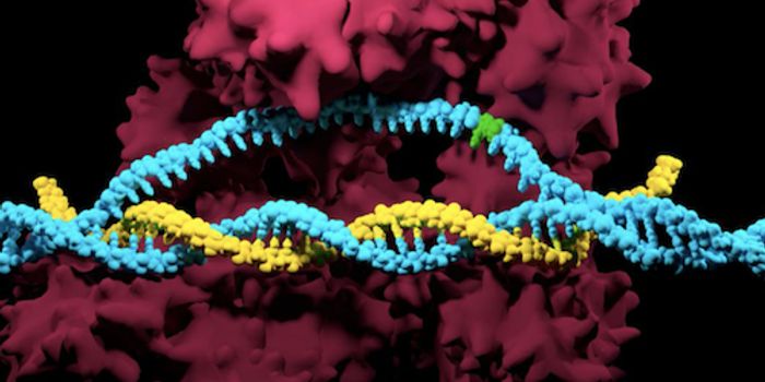 Using CRISPR for High-throughout Genetic Assessment