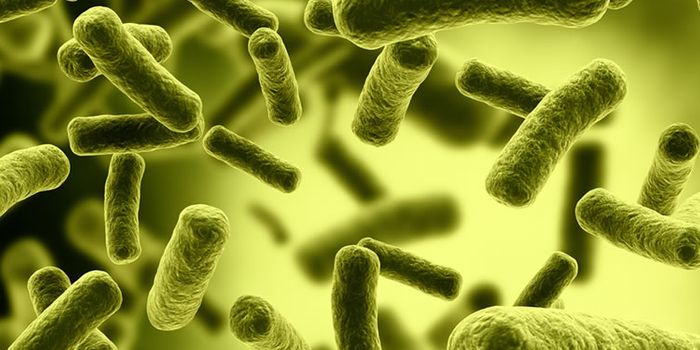 E. coli - a biosensor for colitis?