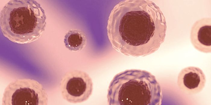 During a Chronic Viral Infection, Immune Cells May Suffer 'Exhaustion'