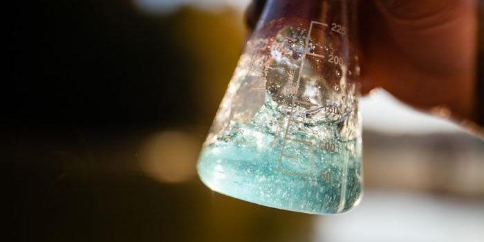 Road Salts and Environmental Consequences: A Global Perspective