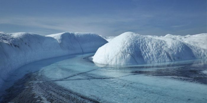Bacteria in Sediment is Likely Accelerating Greenland's Meltdown