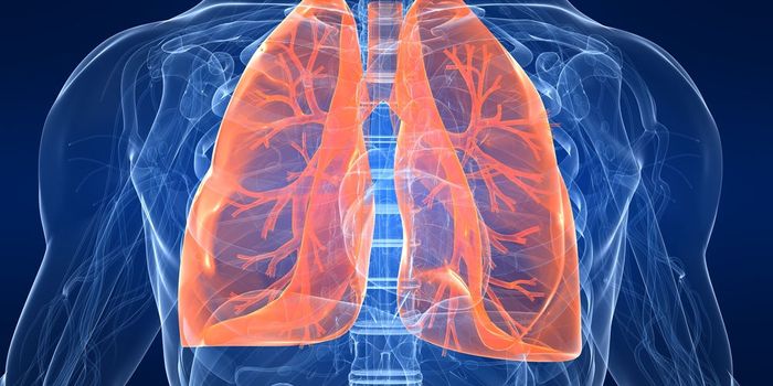 TSRI Study: Protein Monitors Lung Volume and Regulates Breathing