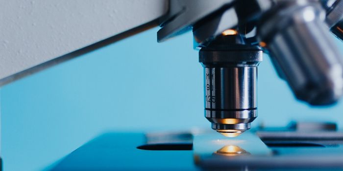 Fighting Cancer Stem Cells with Combination Therapy