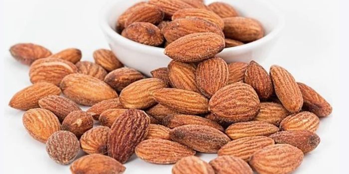 Amino Acid Supplements May Prevent Neuronal Death & Dementia