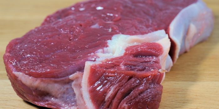 Bacterial Enzyme Strips Inflammatory Carbohydrate From Meat