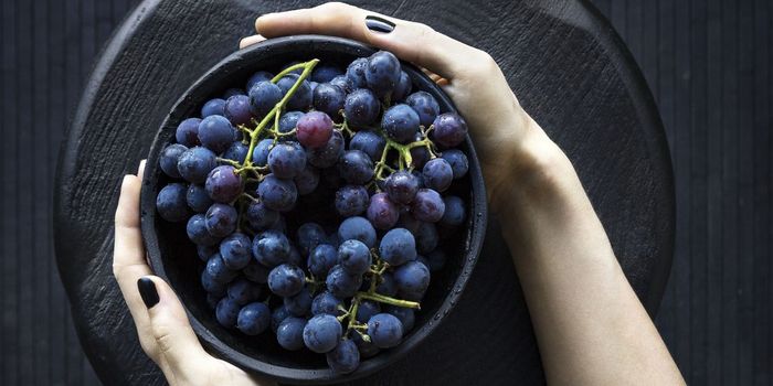 Japanese Berry Vine Could Treat Lung Cancer