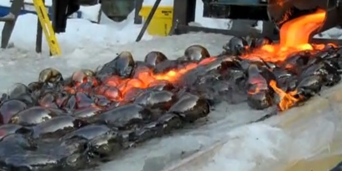 Here's What Happens When You Pour Molten Lava Onto a Block of Ice