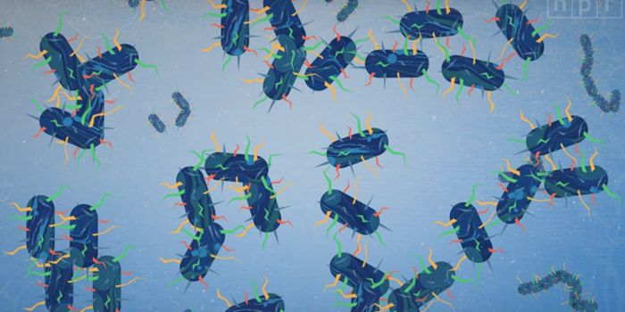 Human Gut Bacteria Found to Carry Over 6000 Antibiotic Resistance Genes