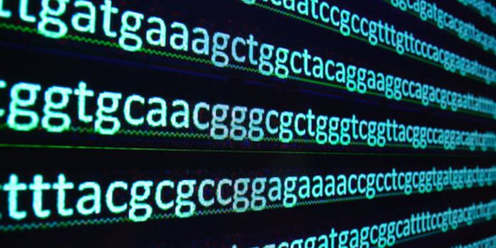 Computational Technology Uses Genetics To Solve Crime