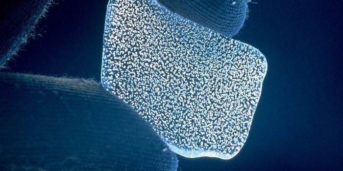 Drilling Begins for Antarctica's Oldest Ice