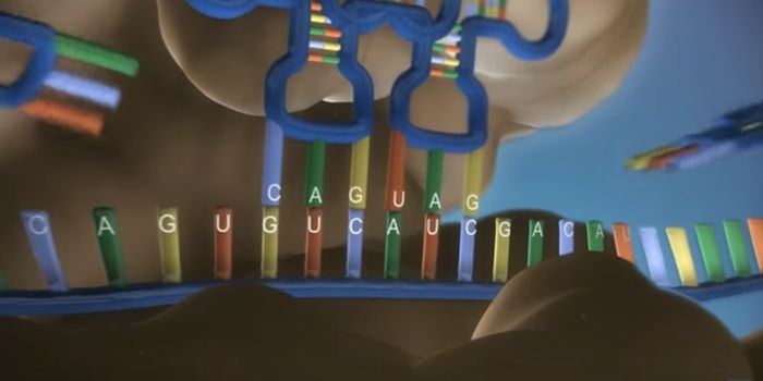 Using CRISPR to Silence Essential Developmental Genes