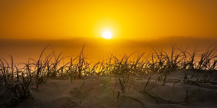 Photoelectrochemical Cells To Produce New Drug Discovery Molecules