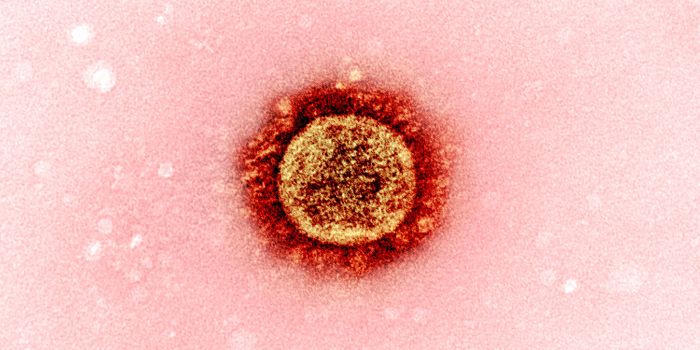 Natural Molecules Can Stop Antibodies From Neutralizing SARS-CoV-2