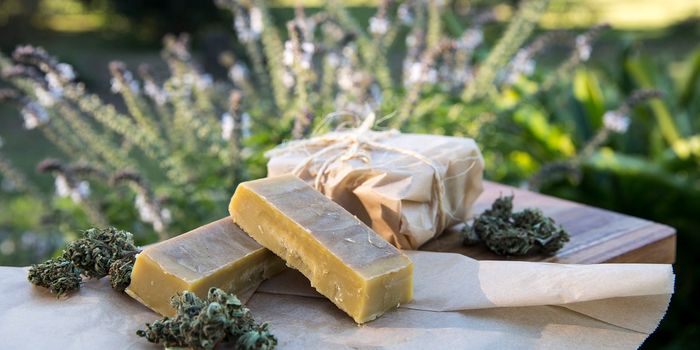 Patients Report Medical Cannabis Reduced Pain and Improved Mental Health