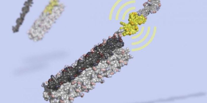 LOCKR: A New Way to Control Cellular Function Synthetically