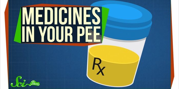 The Medicines Harvested From Pee