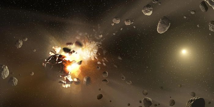 Erigone Asteroids and the Search for Earth's Water Origins