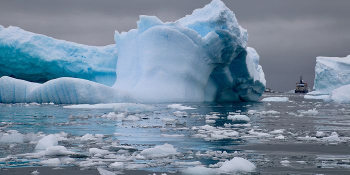 Ice Shelf Holding Back Glacier Predicted to Melt Within Years