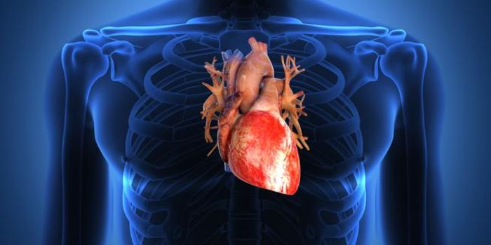 Heart Attack Patients Experiencing Cardiogenic Shock Less Likely to Survive to 60 Days