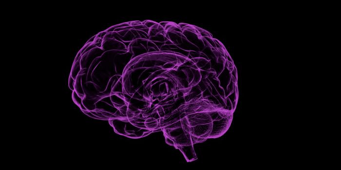 Learning From Our Mistakes, With These Neurons