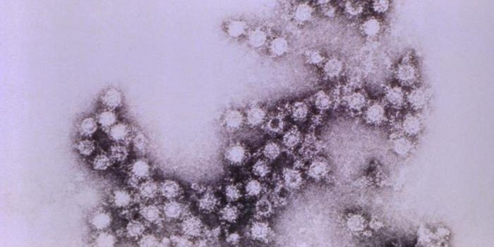 Vulnerability in Famously Hard-to-Target Viruses is Identified
