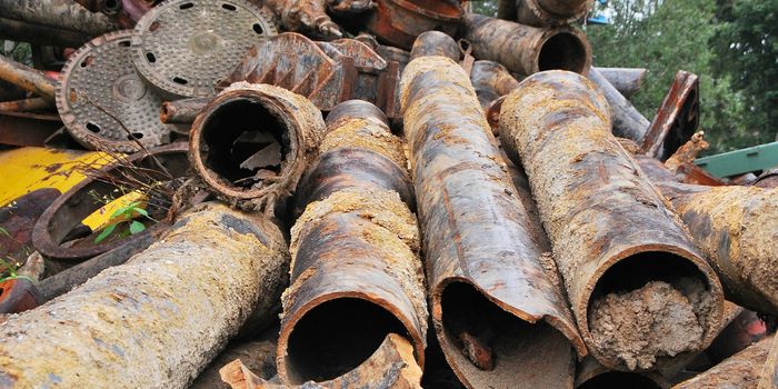 Toxic Heavy Metals Pose Cardiovascular Risk