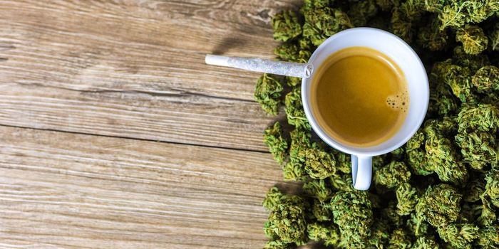 Study Analyzes Consumption Patterns of Medical Cannabis Patients