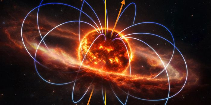 Natural "Space Weather Stations" to Study Planet Habitability