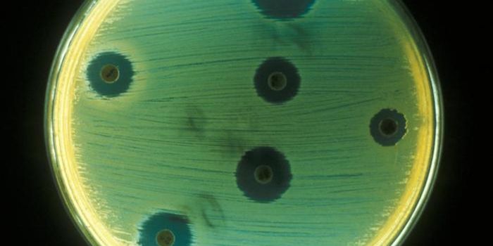 A CRISPR-Based Technique to Make New Antibiotics