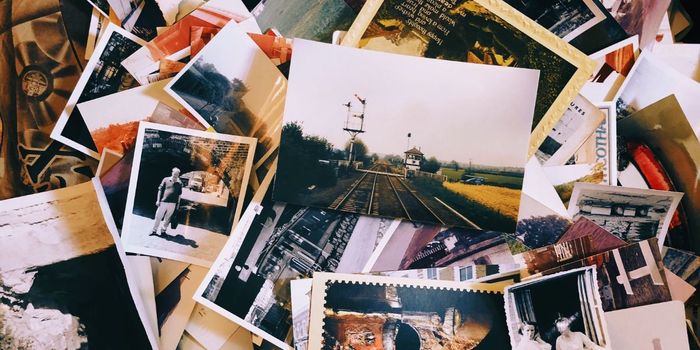 The Memory Cells that Help Us Interpret Different Situations