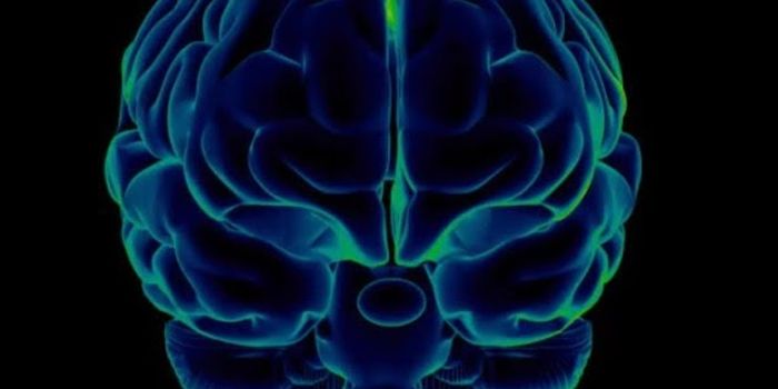 The Brain Can Go On Autopilot