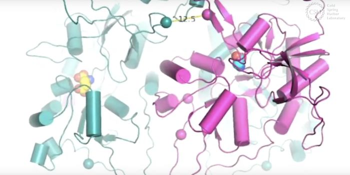 The Intricate Movements of a Critical Receptor are Revealed