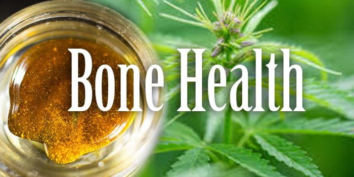 Cannabidiol Enhances Fracture Healing