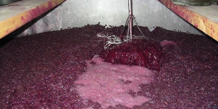 Wine Research Study Reveals How to Make Better Booze by Dosing Yeast with Nitrogen