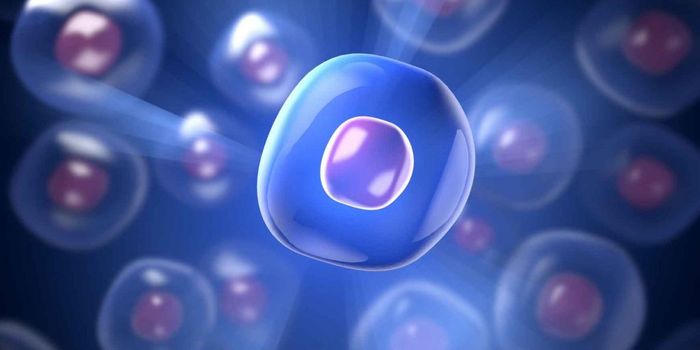 Immune Stem Cells Treat the Most Common Type of Liver Cancer