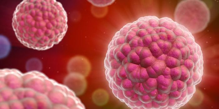 Regulating Tumor Growth